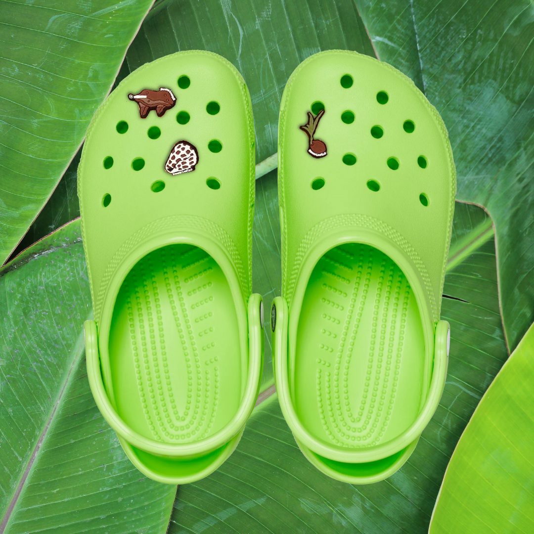 All BL Shoe Charms – Banana Leaf Tumblers